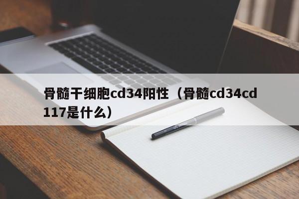 骨髓干细胞cd34阳性（骨髓cd34cd117是什么）