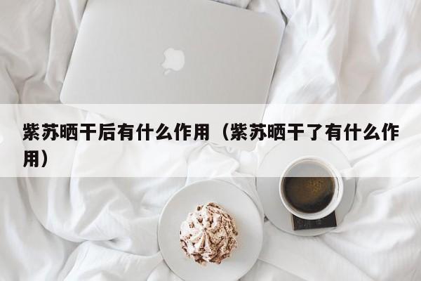 紫苏晒干后有什么作用（紫苏晒干了有什么作用）