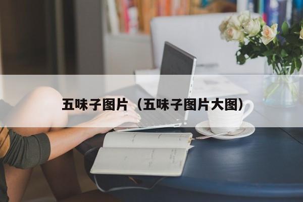 五味子图片（五味子图片大图）