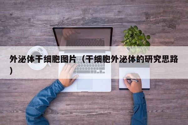 外泌体干细胞图片（干细胞外泌体的研究思路）
