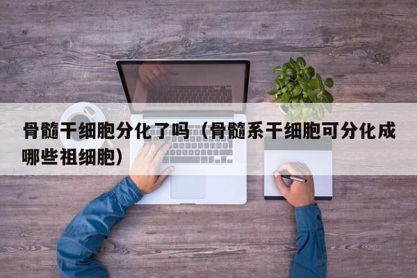 骨髓干细胞分化了吗（骨髓系干细胞可分化成哪些祖细胞）