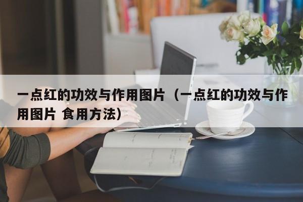 一点红的功效与作用图片（一点红的功效与作用图片 食用方法）