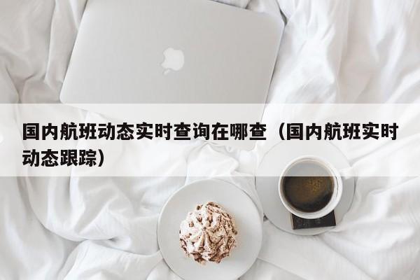 国内航班动态实时查询在哪查（国内航班实时动态跟踪）