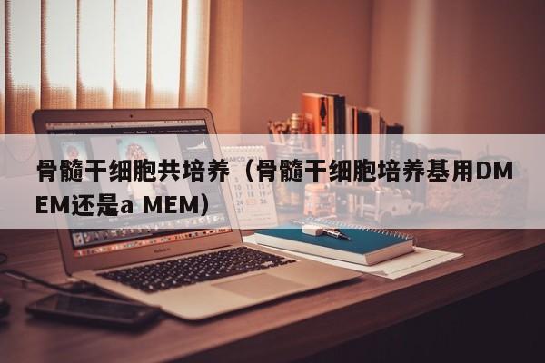 骨髓干细胞共培养（骨髓干细胞培养基用DMEM还是a MEM）