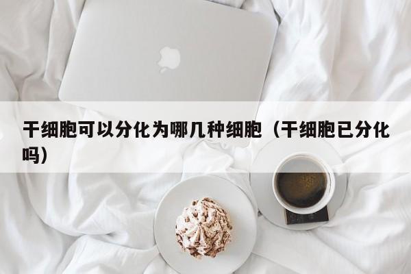干细胞可以分化为哪几种细胞（干细胞已分化吗）
