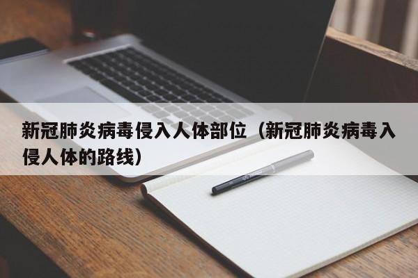 新冠肺炎病毒侵入人体部位（新冠肺炎病毒入侵人体的路线）