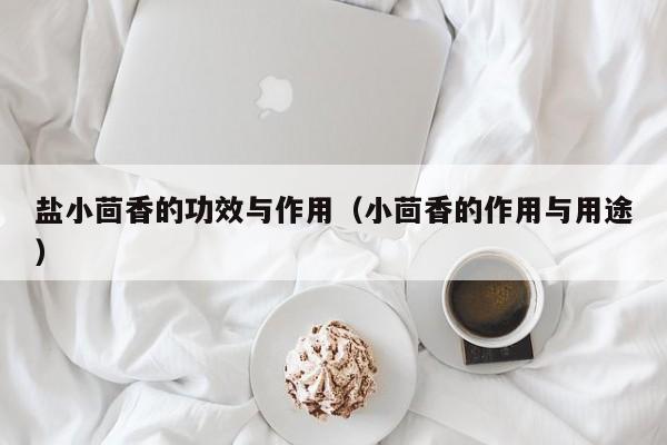 盐小茴香的功效与作用（小茴香的作用与用途）