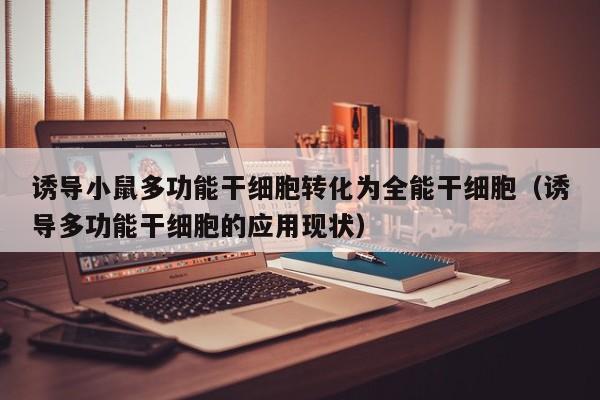 诱导小鼠多功能干细胞转化为全能干细胞（诱导多功能干细胞的应用现状）