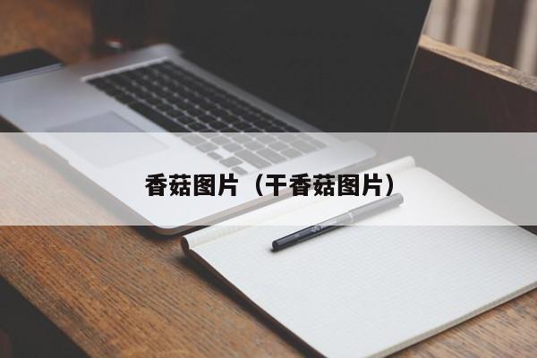 香菇图片（干香菇图片）