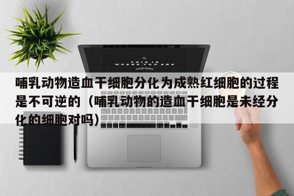 哺乳动物造血干细胞分化为成熟红细胞的过程是不可逆的（哺乳动物的造血干细胞是未经分化的细胞对吗）
