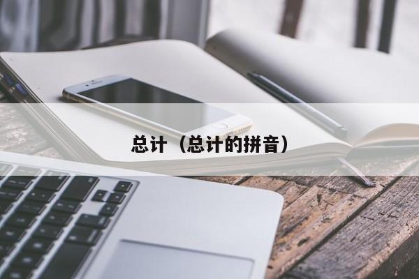 总计（总计的拼音）