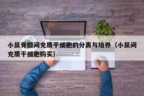 小鼠骨髓间充质干细胞的分离与培养（小鼠间充质干细胞购买）