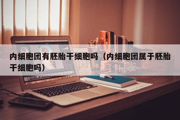 内细胞团有胚胎干细胞吗（内细胞团属于胚胎干细胞吗）