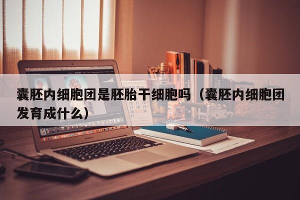 囊胚内细胞团是胚胎干细胞吗（囊胚内细胞团发育成什么）