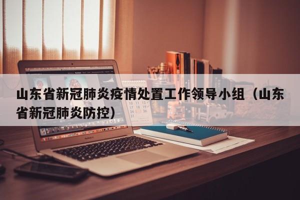 山东省新冠肺炎疫情处置工作领导小组（山东省新冠肺炎防控）
