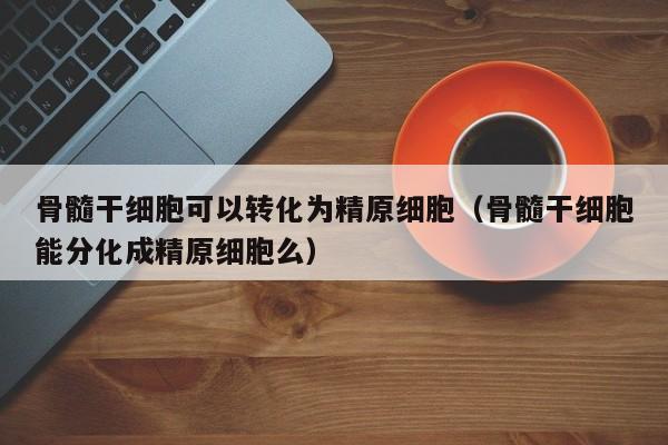骨髓干细胞可以转化为精原细胞（骨髓干细胞能分化成精原细胞么）