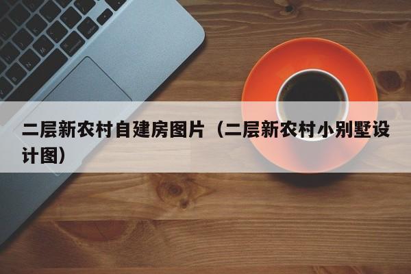二层新农村自建房图片（二层新农村小别墅设计图）