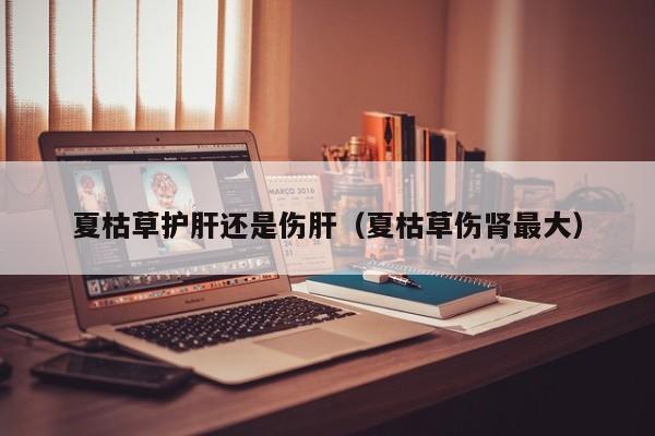 夏枯草护肝还是伤肝（夏枯草伤肾最大）