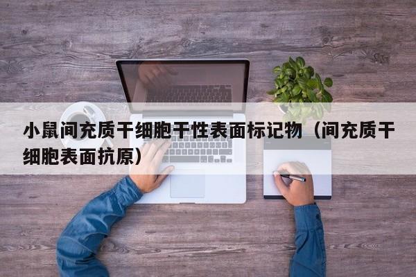 小鼠间充质干细胞干性表面标记物（间充质干细胞表面抗原）