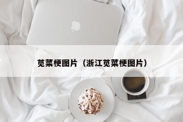 苋菜梗图片（浙江苋菜梗图片）