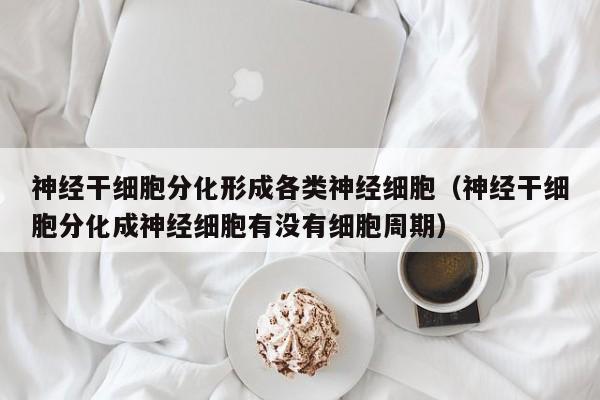 神经干细胞分化形成各类神经细胞（神经干细胞分化成神经细胞有没有细胞周期）