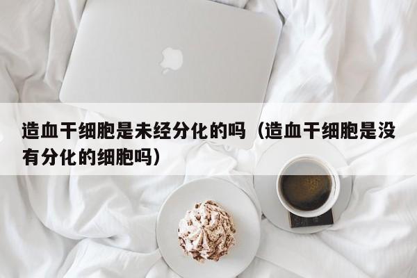 造血干细胞是未经分化的吗（造血干细胞是没有分化的细胞吗）