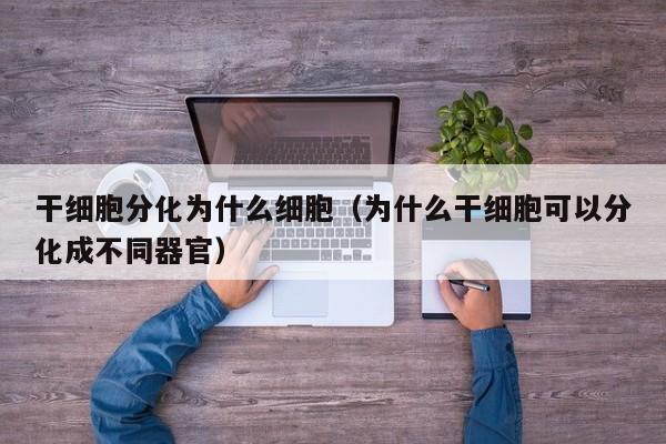 干细胞分化为什么细胞（为什么干细胞可以分化成不同器官）