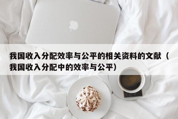 我国收入分配效率与公平的相关资料的文献（我国收入分配中的效率与公平）