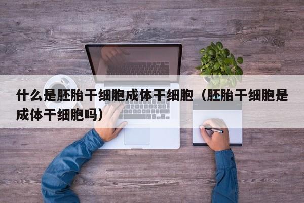 什么是胚胎干细胞成体干细胞（胚胎干细胞是成体干细胞吗）