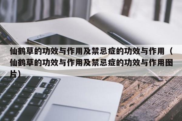 仙鹤草的功效与作用及禁忌症的功效与作用（仙鹤草的功效与作用及禁忌症的功效与作用图片）