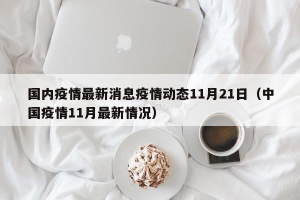 国内疫情最新消息疫情动态11月21日（中国疫情11月最新情况）
