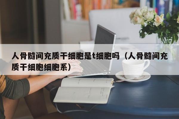 人骨髓间充质干细胞是t细胞吗（人骨髓间充质干细胞细胞系）
