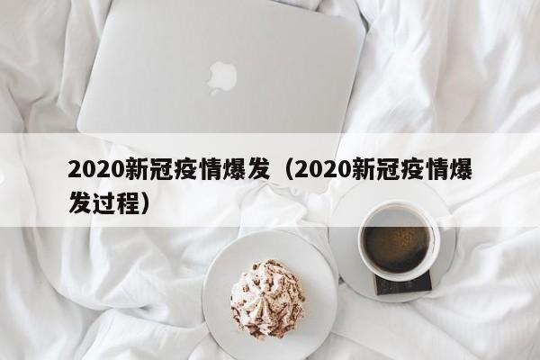 2020新冠疫情爆发（2020新冠疫情爆发过程）