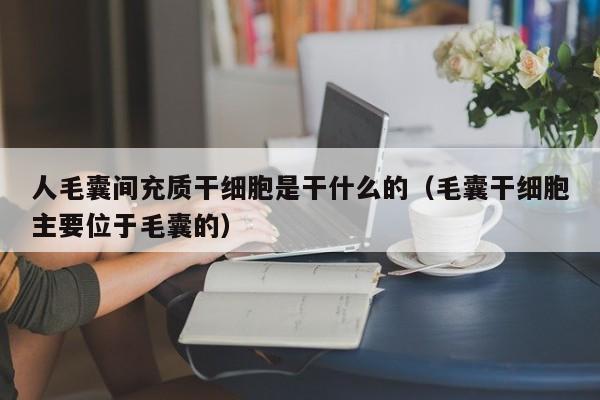 人毛囊间充质干细胞是干什么的（毛囊干细胞主要位于毛囊的）