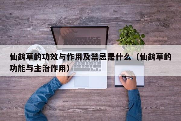 仙鹤草的功效与作用及禁忌是什么（仙鹤草的功能与主治作用）