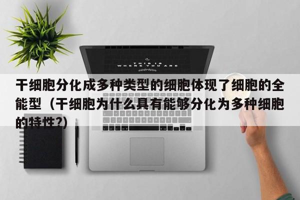 干细胞分化成多种类型的细胞体现了细胞的全能型（干细胞为什么具有能够分化为多种细胞的特性?）