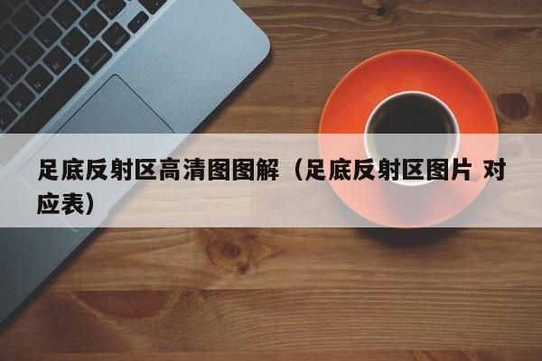 足底反射区高清图图解（足底反射区图片 对应表）