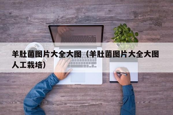 羊肚菌图片大全大图（羊肚菌图片大全大图 人工栽培）