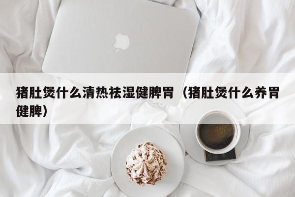 猪肚煲什么清热祛湿健脾胃（猪肚煲什么养胃健脾）