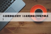 小鼠尾静脉注射针（小鼠尾静脉注射操作要点）