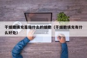干细胞填充是指什么的细胞（干细胞填充有什么好处）