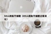 h9人胚胎干细胞（H9人胚胎干细胞过度消化）