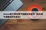 dmem属于间充质干细胞培养基吗（间充质干细胞培养及鉴定）