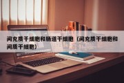 间充质干细胞和肠道干细胞（间充质干细胞和间质干细胞）