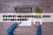 脐带间充质干细胞分离胶原酶消化法（脐带间充质干细胞从哪里提取）