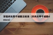 牙髓间充质干细胞注射液（牙间充质干细胞dmscs）