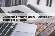 人脐带间充质干细胞英文缩写（脐带间充质干细胞属于成体干细胞吗）