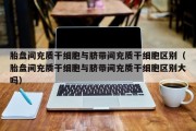 胎盘间充质干细胞与脐带间充质干细胞区别（胎盘间充质干细胞与脐带间充质干细胞区别大吗）