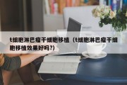 t细胞淋巴瘤干细胞移植（t细胞淋巴瘤干细胞移植效果好吗?）