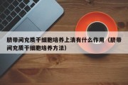 脐带间充质干细胞培养上清有什么作用（脐带间充质干细胞培养方法）